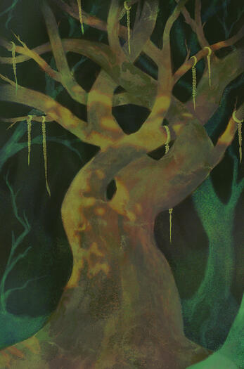 Personal Work - The Braided Tree